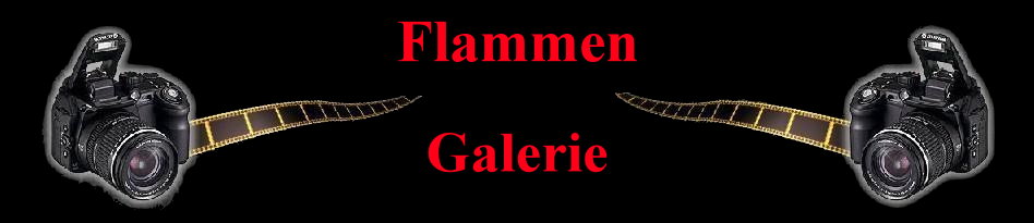 Die Grafik �http://www.rosena.de/Images/Flammen%20Galerie.JPG� kann nicht angezeigt werden, da sie Fehler enth�lt.
