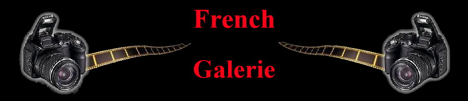 Die Grafik �http://www.rosena.de/Images/French%20Galerie.JPG� kann nicht angezeigt werden, da sie Fehler enth�lt.